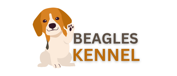 Beagles Kennel